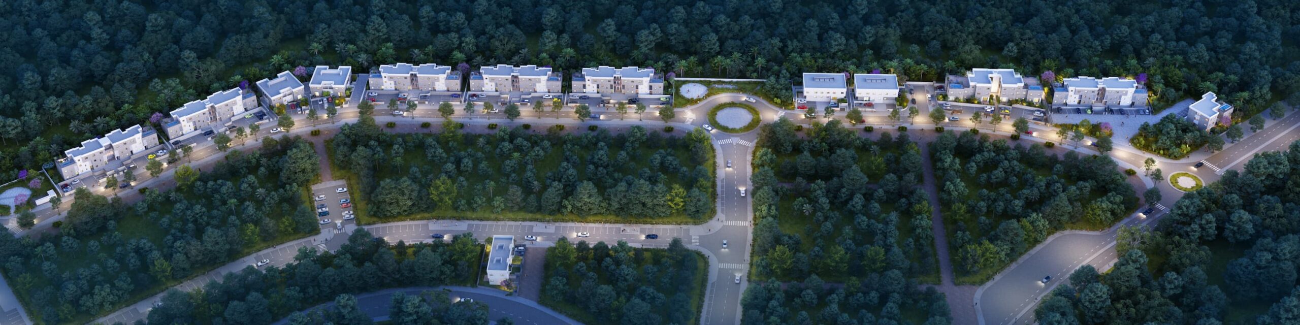 Bird view 3.jpg (1)